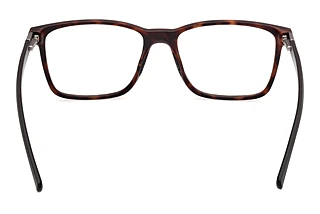 Vista posteriore Harley-Davidson HD50095 (052)