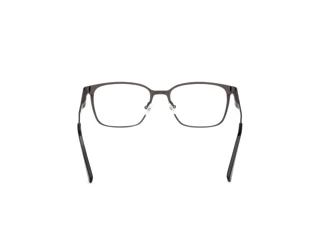 Vista posteriore Harley-Davidson HD50116 (007)