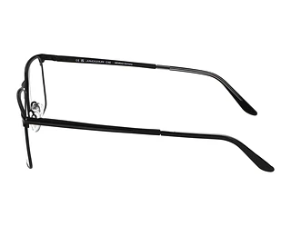 Vista laterale Jaguar 33128 (6100)