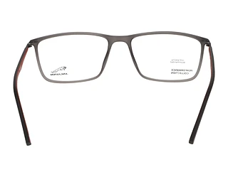 Vista posteriore Jaguar 36807 (6500)