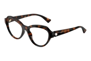 Vista frontale Jimmy Choo JC1002HU (5002)