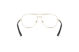 Vista posteriore Jimmy Choo JC2021 (3006)