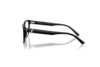 Vista laterale Jimmy Choo JC3008 (5000)
