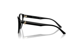 Vista laterale Jimmy Choo JC3009 (5000)