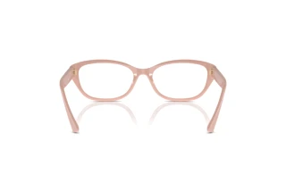 Vista posteriore Jimmy Choo JC3015 (5014)