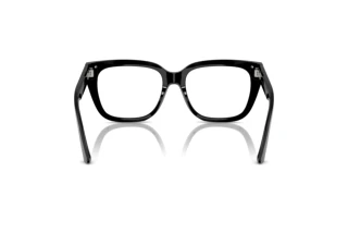 Vista posteriore Jimmy Choo JC3019B (5000)