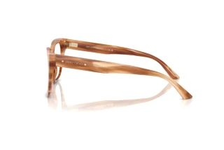 Vista laterale Jimmy Choo JC3019B (5055)