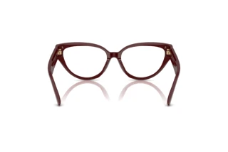 Vista posteriore Jimmy Choo JC3023HU (5057)