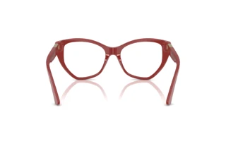 Vista posteriore Jimmy Choo JC3026 (5013)