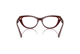 Vista posteriore Jimmy Choo JC3030B (5057)