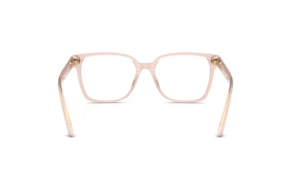 Vista posteriore Jimmy Choo JC3038D (5052)