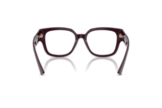 Vista posteriore Jimmy Choo JC3042B (5075)