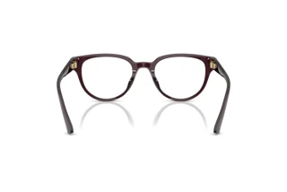 Vista posteriore Jimmy Choo JC3051D (5086)