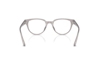 Vista posteriore Jimmy Choo JC3051D (5096)