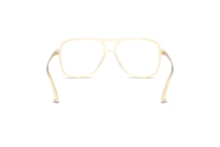 Vista posteriore Jimmy Choo JC3052U (5089)