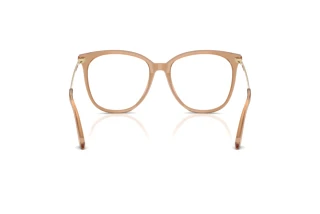 Vista posteriore Jimmy Choo JC3060 (5076)