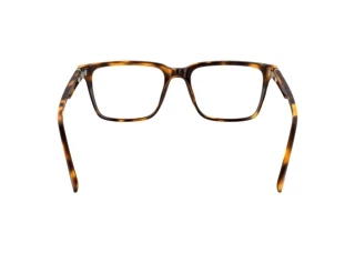 Vista posteriore Lacoste L2963 (214)