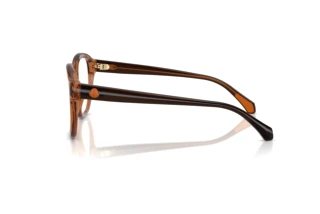 Vista laterale Moncler ME2027 (3017)