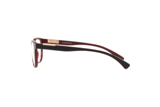 Vista laterale Oakley PLUNGELINE (OX8146 - 814604)