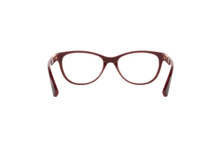 Vista posteriore Oakley PLUNGELINE (OX8146 - 814604)