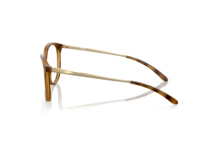 Vista laterale Oakley BMNG (OX8150 - 815002)