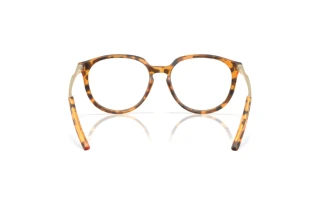 Vista posteriore Oakley BMNG (OX8150 - 815007)