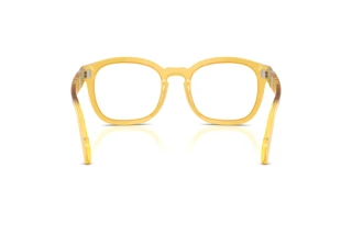 Vista posteriore Persol PO0082V (204)