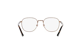Vista posteriore Persol PO1007V (1148)