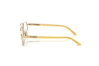 Vista laterale Persol PO1020V (1129)