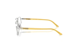 Vista laterale Persol PO1020V (518)