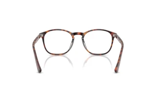 Vista posteriore Persol PO3007VX (24)