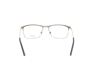 Vista posteriore Police VPL698 (0579)