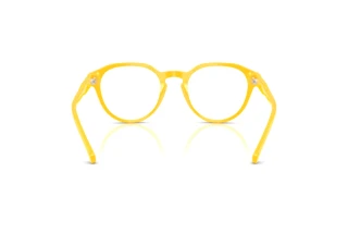 Vista posteriore Polo PH2233 (5420)