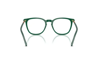 Vista posteriore Polo PH2288 (5421)