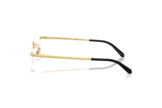 Vista laterale Ralph Lauren RL5134 (9004)