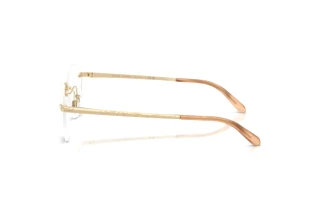 Vista laterale Ralph Lauren RL5134 (9116)