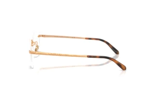 Vista laterale Ralph Lauren RL5134 (9153)