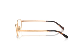 Vista laterale Ralph Lauren RL5140 (9153)