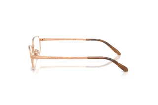 Vista laterale Ralph Lauren RL5140 (9329)