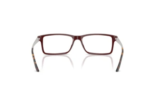 Vista posteriore Ralph Lauren RL6128 (6311)