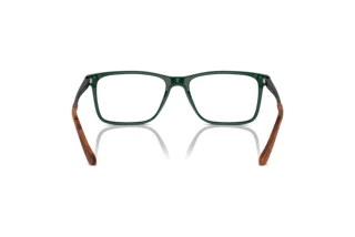 Vista posteriore Ralph Lauren RL6133 (6140)