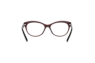 Vista posteriore Ralph Lauren RL6216U (5855)