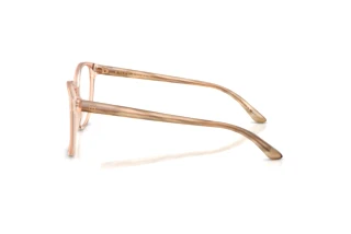 Vista laterale Ralph Lauren RL6222 (6110)