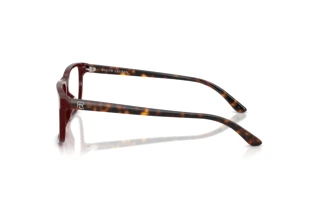 Vista laterale Ralph Lauren RL6225U (6311)