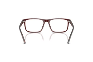 Vista posteriore Ralph Lauren RL6225U (6311)