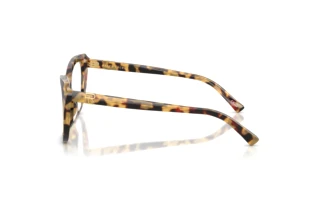 Vista laterale Ralph Lauren RL6232U (5004)