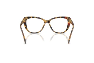 Vista posteriore Ralph Lauren RL6232U (5004)