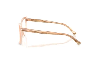 Vista laterale Ralph Lauren RL6232U (6110)