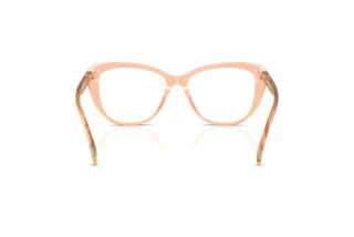 Vista posteriore Ralph Lauren RL6232U (6110)