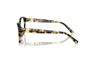 Vista laterale Ralph Lauren RL6236U (5004)